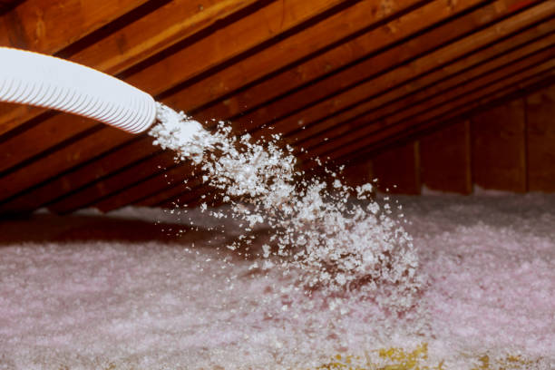 Best Spray Foam Insulation in Novato, CA