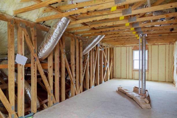 Best Eco-Friendly Insulation in Novato, CA