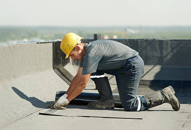 Trusted Novato, CA Insulation Contractor Experts