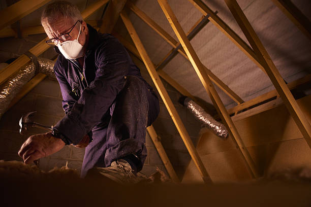 Best Commercial Insulation in Novato, CA